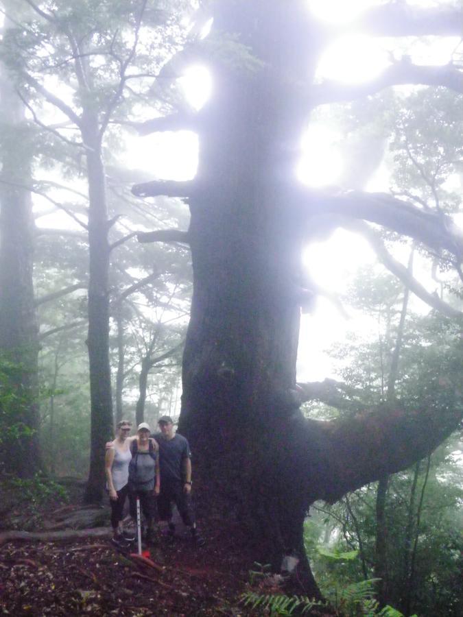 Hostel Kumano Backpackers *